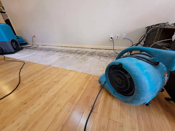 Professional Water Removal technician working in Harvard, MA